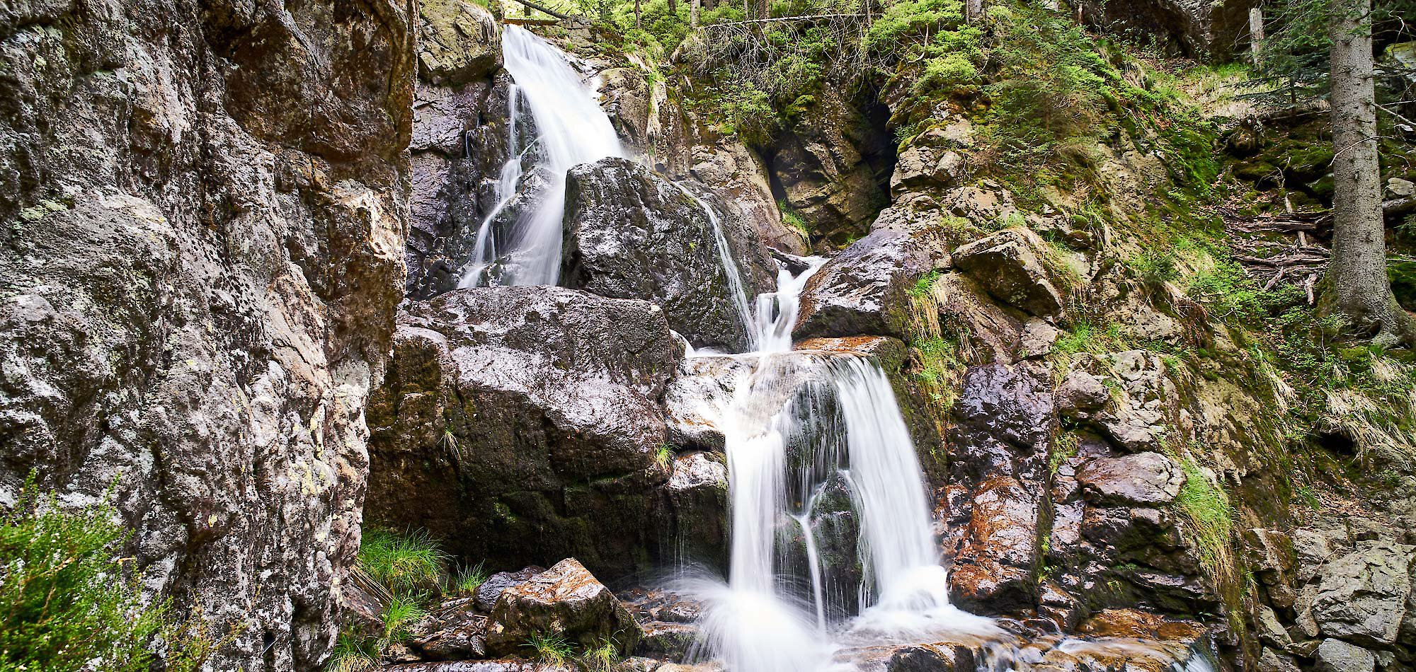 Urlaub im Bayerischen Wald am Arber